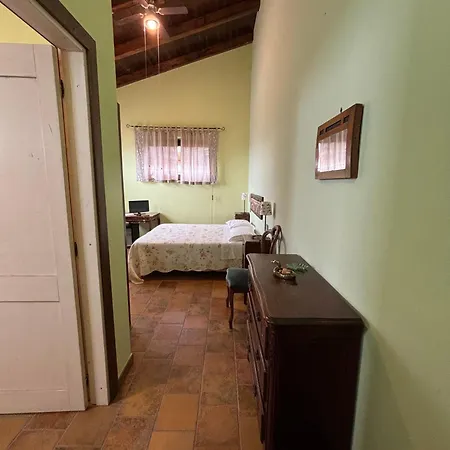 Del Picchio Morro dʼOro