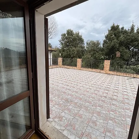 Del Picchio Morro dʼOro