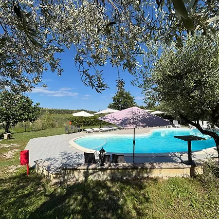 Apartment Del Picchio Morro d'Oro