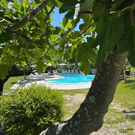 Del Picchio Apartment