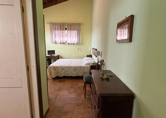 Del Picchio Morro dʼOro