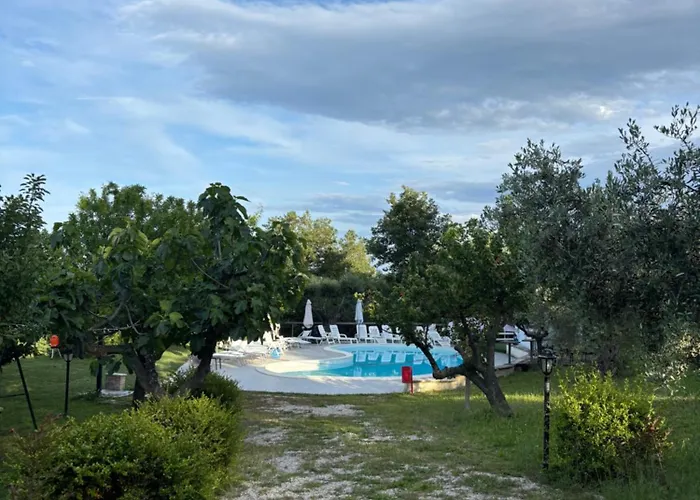 Del Picchio Morro dʼOro